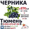phttffx442enhwj5w3t444q960