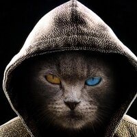 Анастасия Кунц