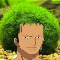 Евгения Романова