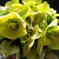 Маргарита Л.