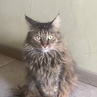 Александра