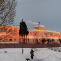 Виолетта Суарес