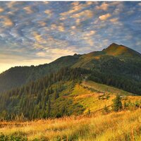 Мария Богословская