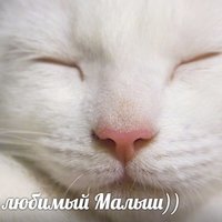 Нина Е.