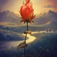 Ананда Майя