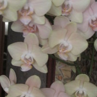 Ирина Уварова