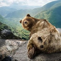 Мурат Болов