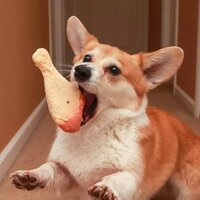 максим асроров