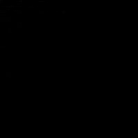 Дарья Никонорова