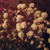 Автор отзыва Агнесса