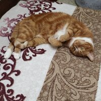 Михаил З.