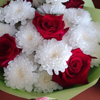 Елена Суходеева