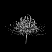 Грицаюк Алина Олеговна