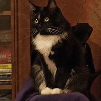 Сил-Сиб Россия