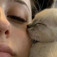 Дарья Лизунова