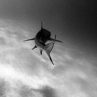 Юлия Садыкова