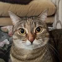 Кристина Павлова