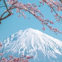 Лиза Рогожкина