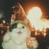 Катерина Милашина