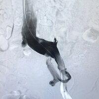 Дмитрий Васильев