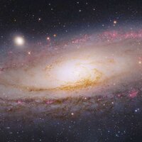 Ольга Куриленко