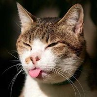 Анастасия Б.