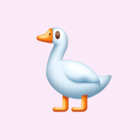 Дарья Новикова