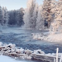 Галина Попова