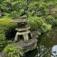 Юлия Кушкова