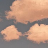 Сиренко Артём