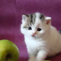 Марина Сергеевна