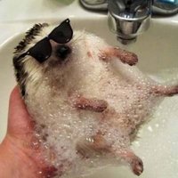 Анастасия Т.