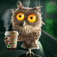 Тимофей Андреевич