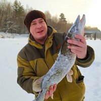 Андрей Грибов