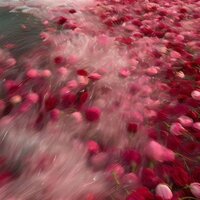 дарья Евстафьева