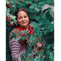 Анна Челнокова