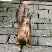 Мария Шваб🥱