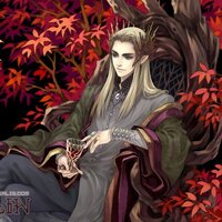 Степанова Дарья