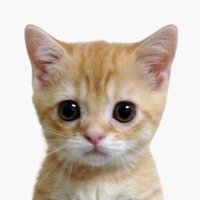 Анастасия Штепа