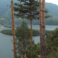 Андрей Докан