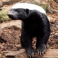 Андрей Титов