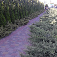 Евген Барада