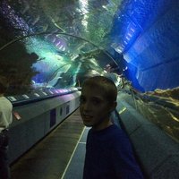 Артём Латухин