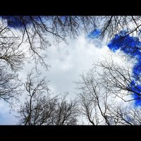 Андрей Масленников