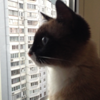 Анастасия С.