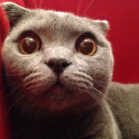 Александра