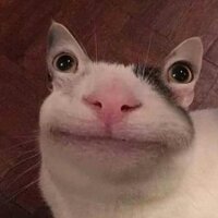 Алина Гревцева