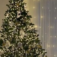 Настя Матвеева