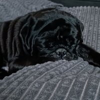 Мария Халтурина