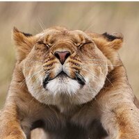 Петруха )))))))))))))